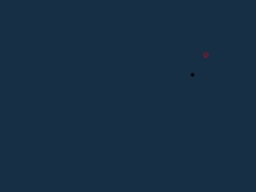 Detective Loupe Puzzle