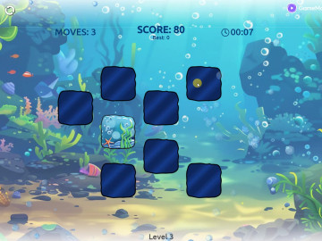 Ocean Memory Challenge