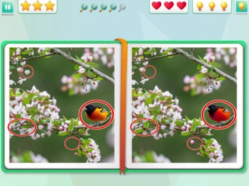 Spot The Difference: Seasons